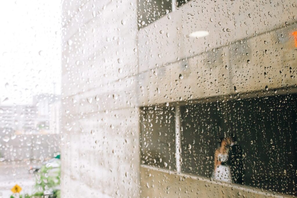 Alexis & Kyle Wedding