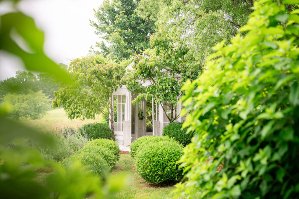 wedding at Mint Springs Farm in Nolensville